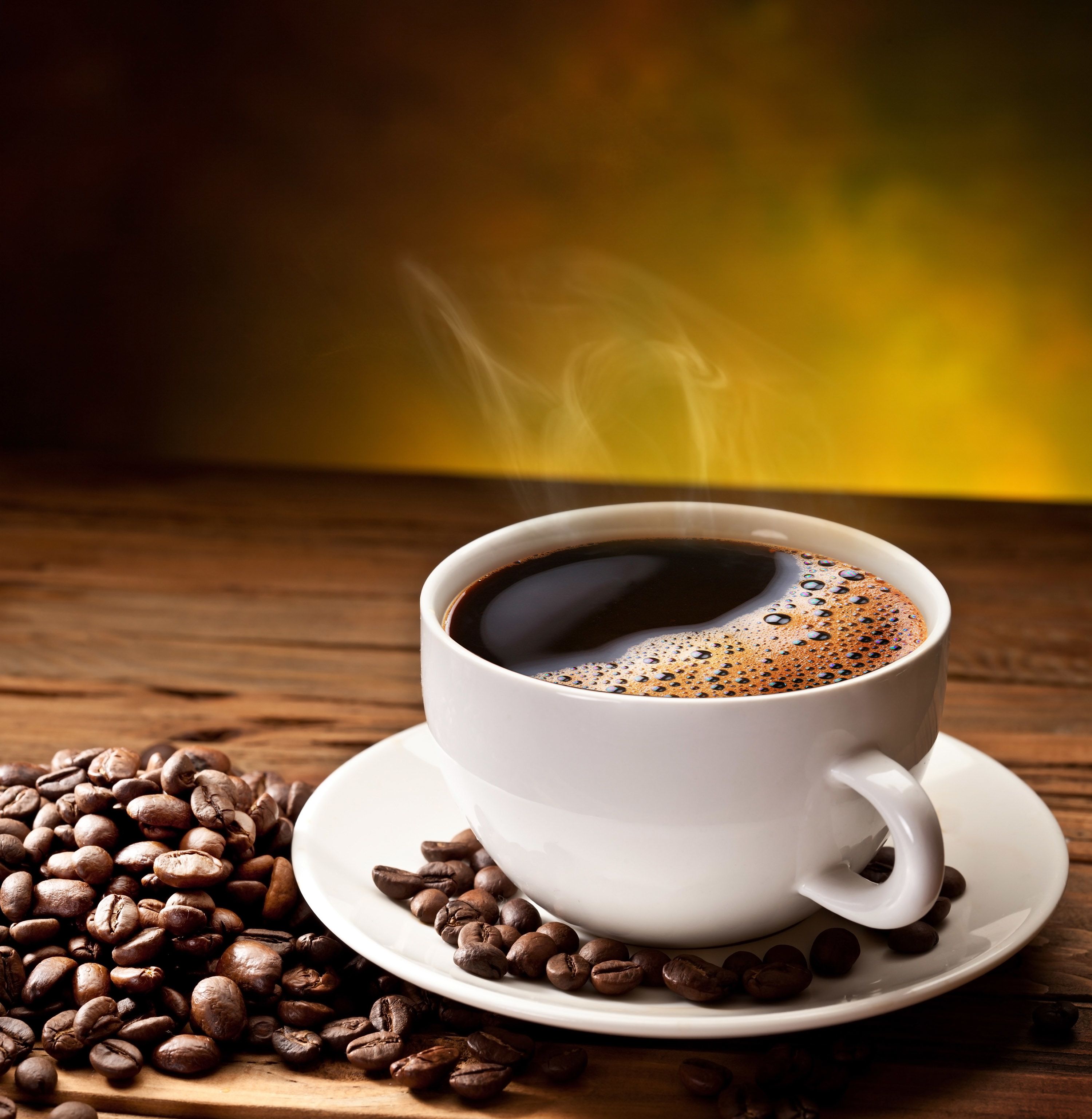 FD ROBUSTA
